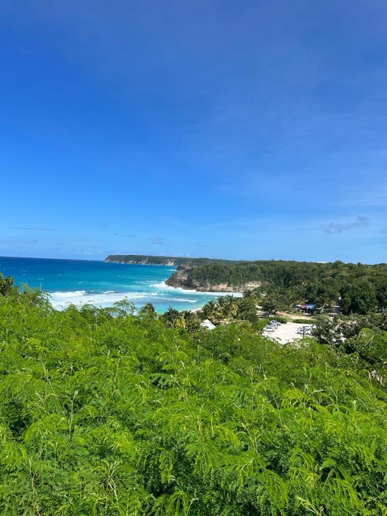 Anse-Bertrand  La Kaz A Coyoky 빌라 외부 사진